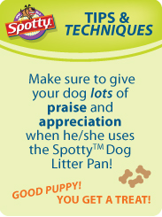 Image of Dog Litter tip #1