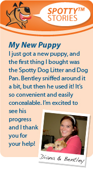 Spotty Story - Diana