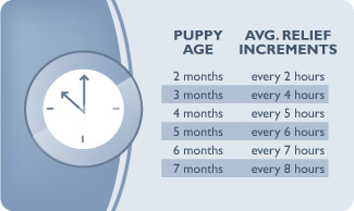 Relief Schedule for Puppies Image of relief schedule for puppies