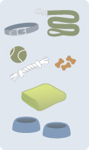 Image of Training Tips supplies
